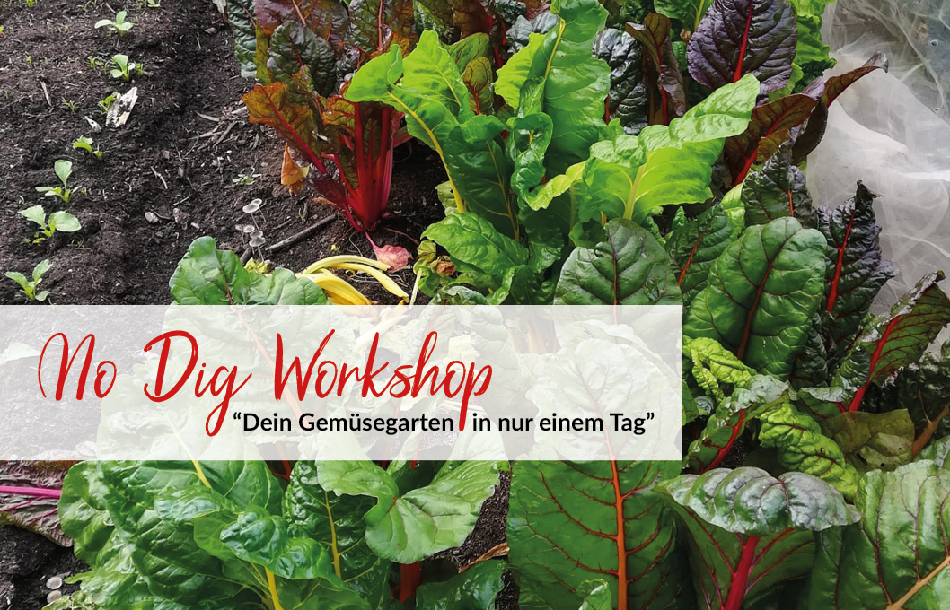 "no dig" Workshop: “Dein Gemüsegarten in nur einem Tag”